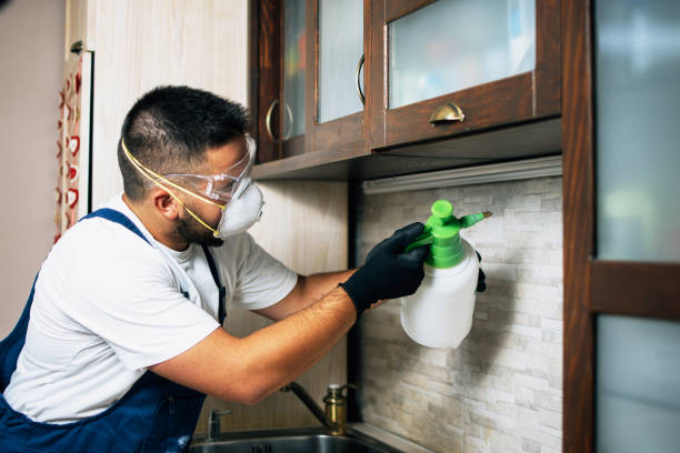 Best Cockroach Control Services  in Queens, NY