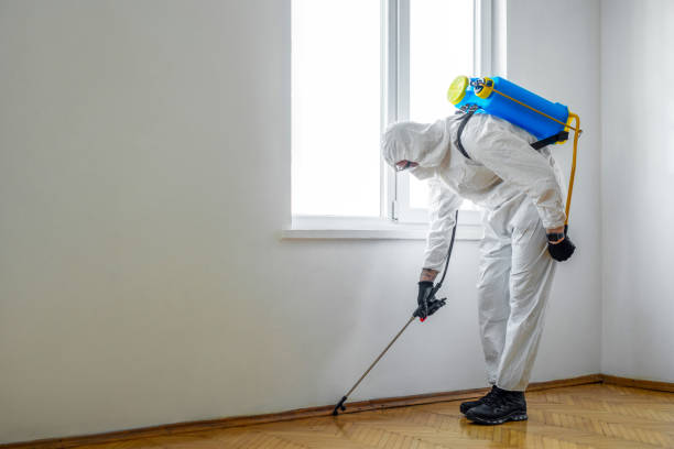 Best Commercial Pest Control Services  in Queens, NY