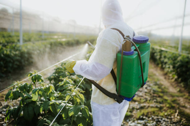 Best Emergency Pest Control  in Queens, NY
